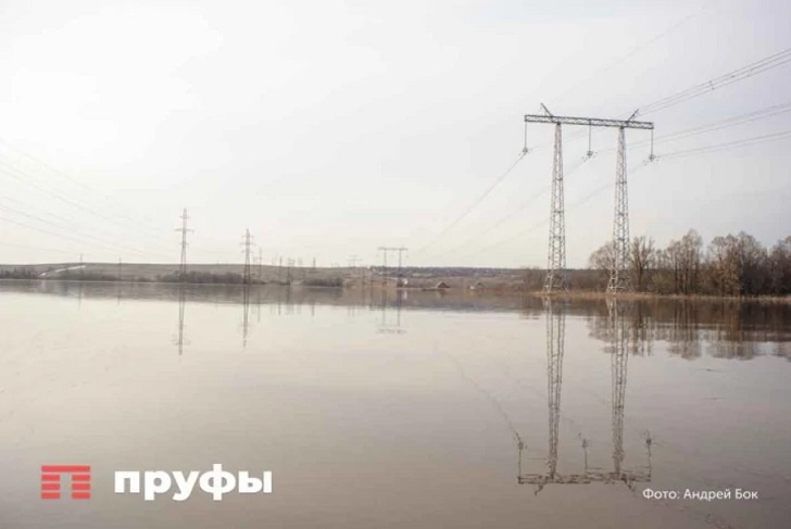    Фото: Пруфы