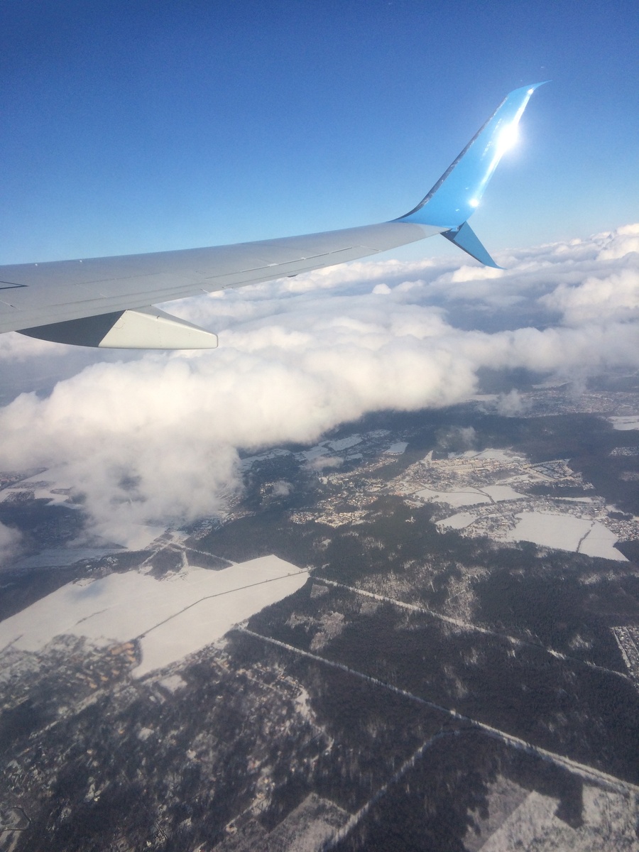    фото: © Столица на Онего, иллюстративное