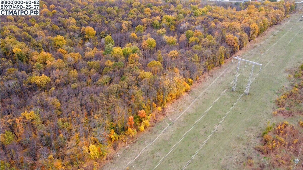 Расчистка под линиями электропередач также осуществляется мульчером