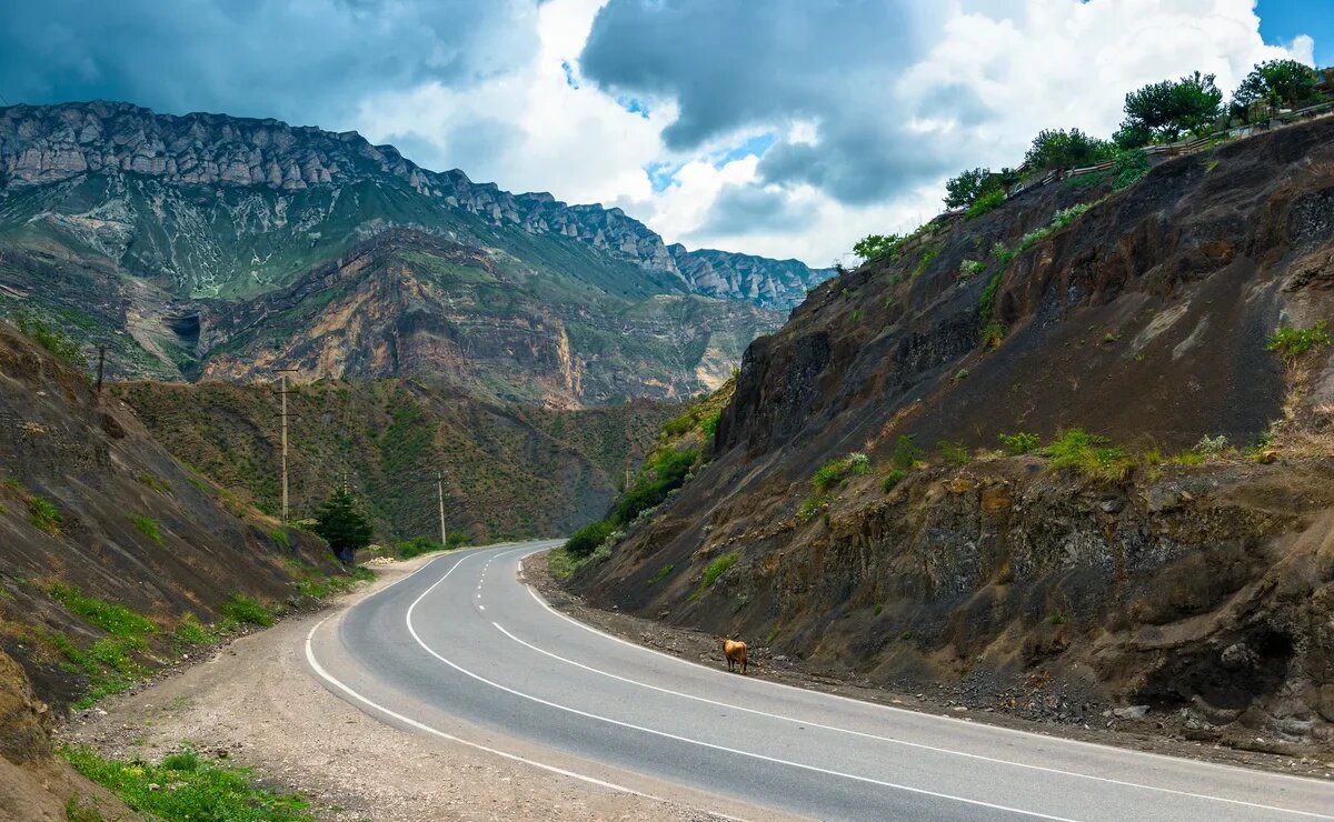    Правительство закатает в асфальт более 9 трлн рублей