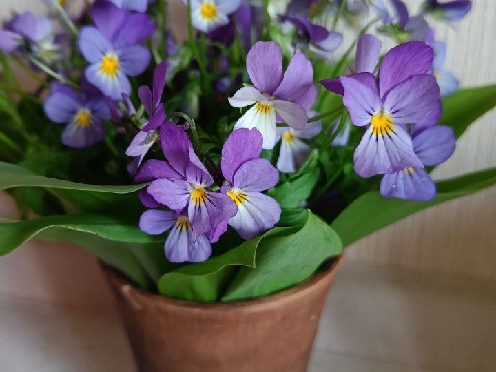 Всем первоапрельский привет