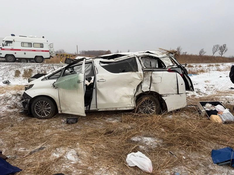     / Источник: © УМВД России по Приморскому краю