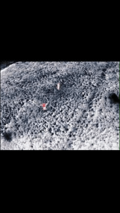    Так ВСУшники "ждут" русских дронов на переднем крае. Видео: Владимир Антонюк