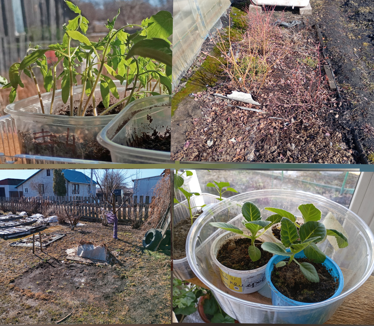 Фото автора.