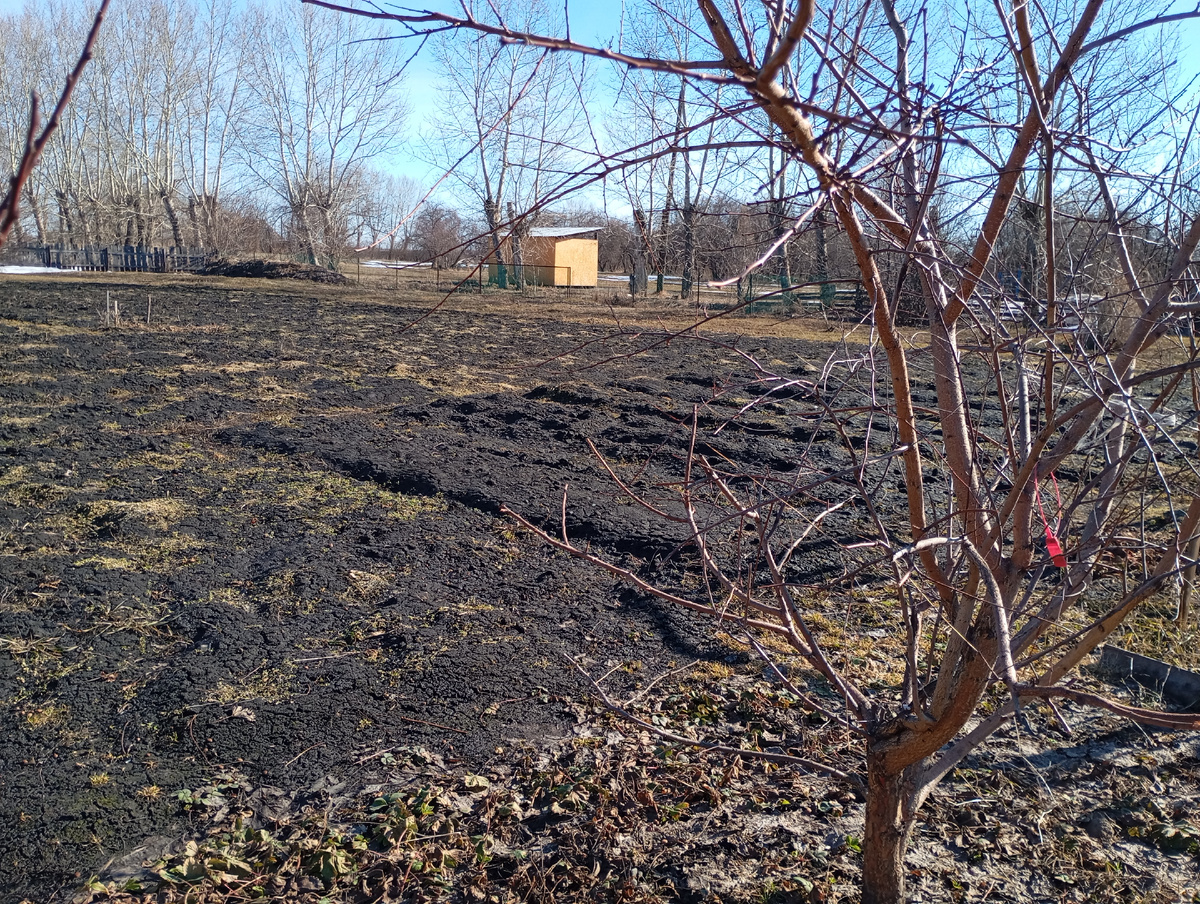 Фото автора.