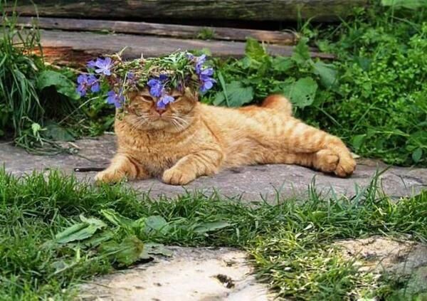 Фото из открытых источников 