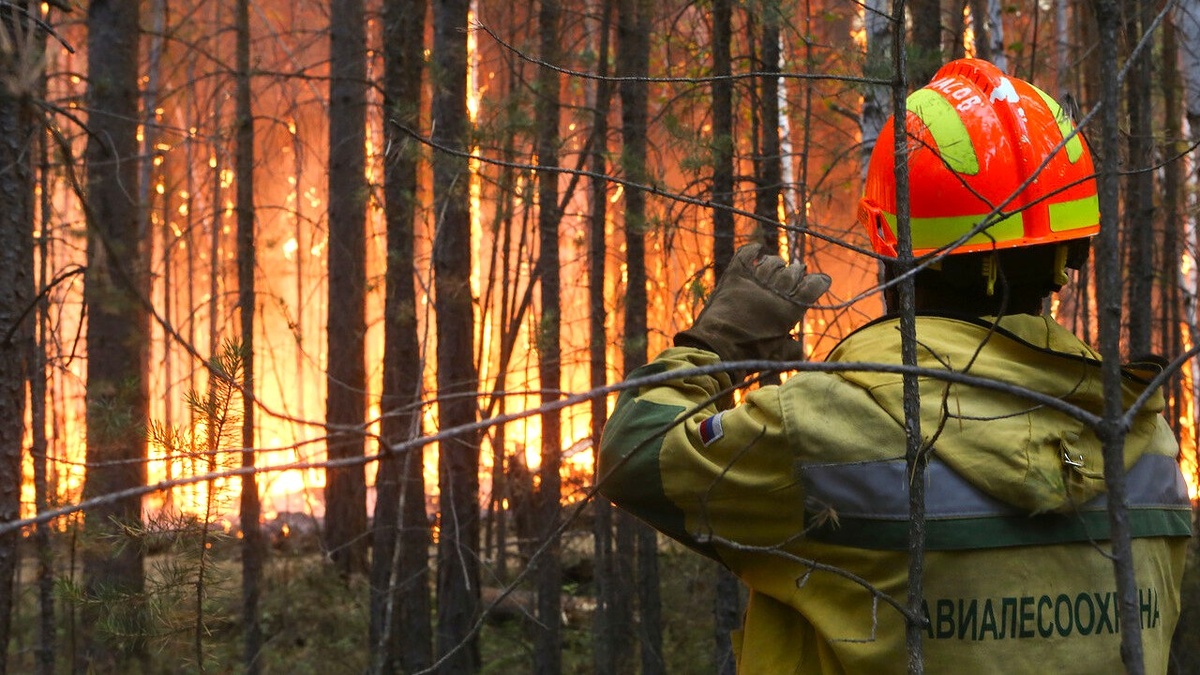    Пожароопасный период в лесах Югры объявят с 25 апреля