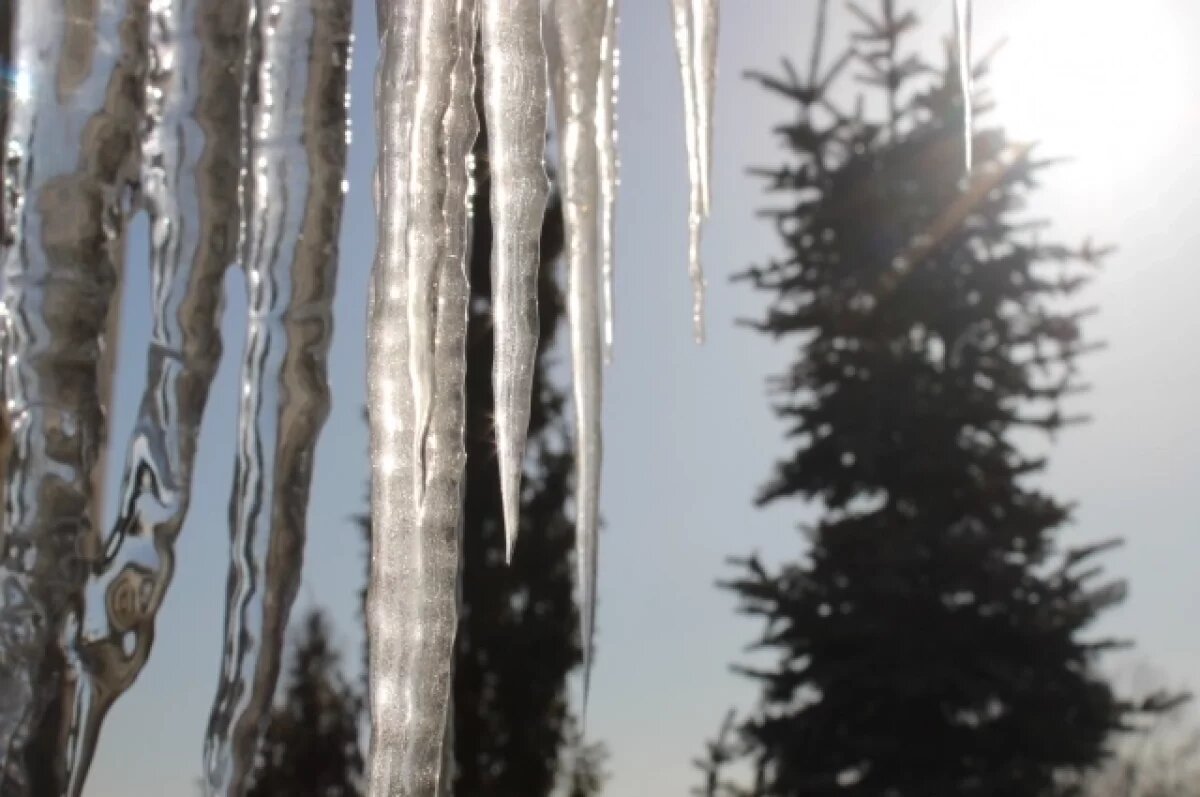    Аномальное тепло в Сыктывкаре: 1 апреля воздух прогреется до +16°С