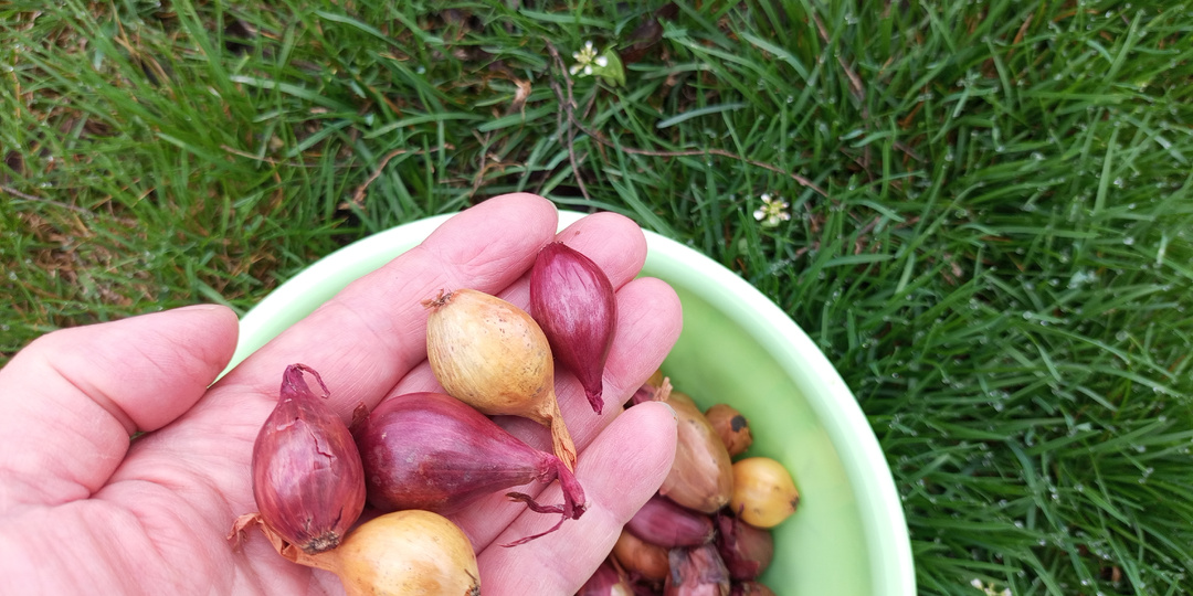 Вот уже и апрель. 🏡🐞🌱🐝