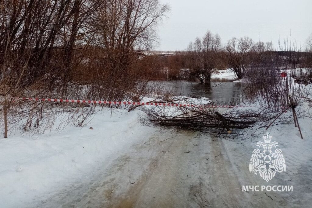    Фото: ГУ МЧС по Нижегородской области Виктор Дивеев