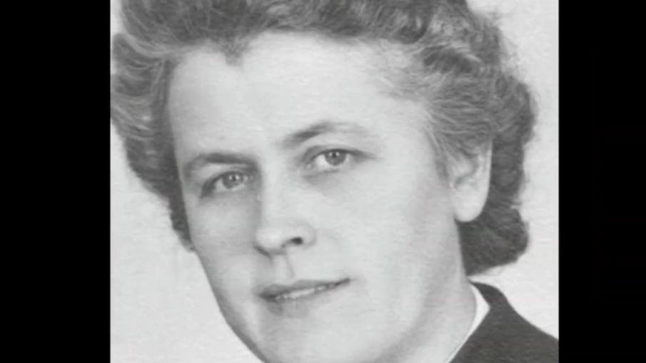 Фото из свободных источников.