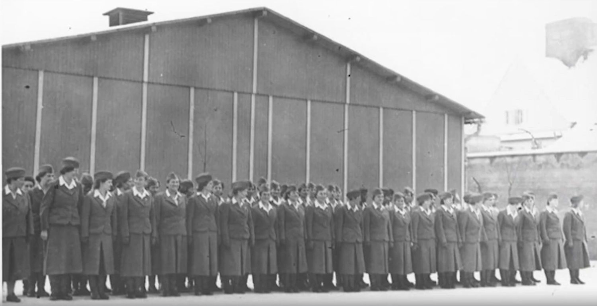 Фото из свободных источников.