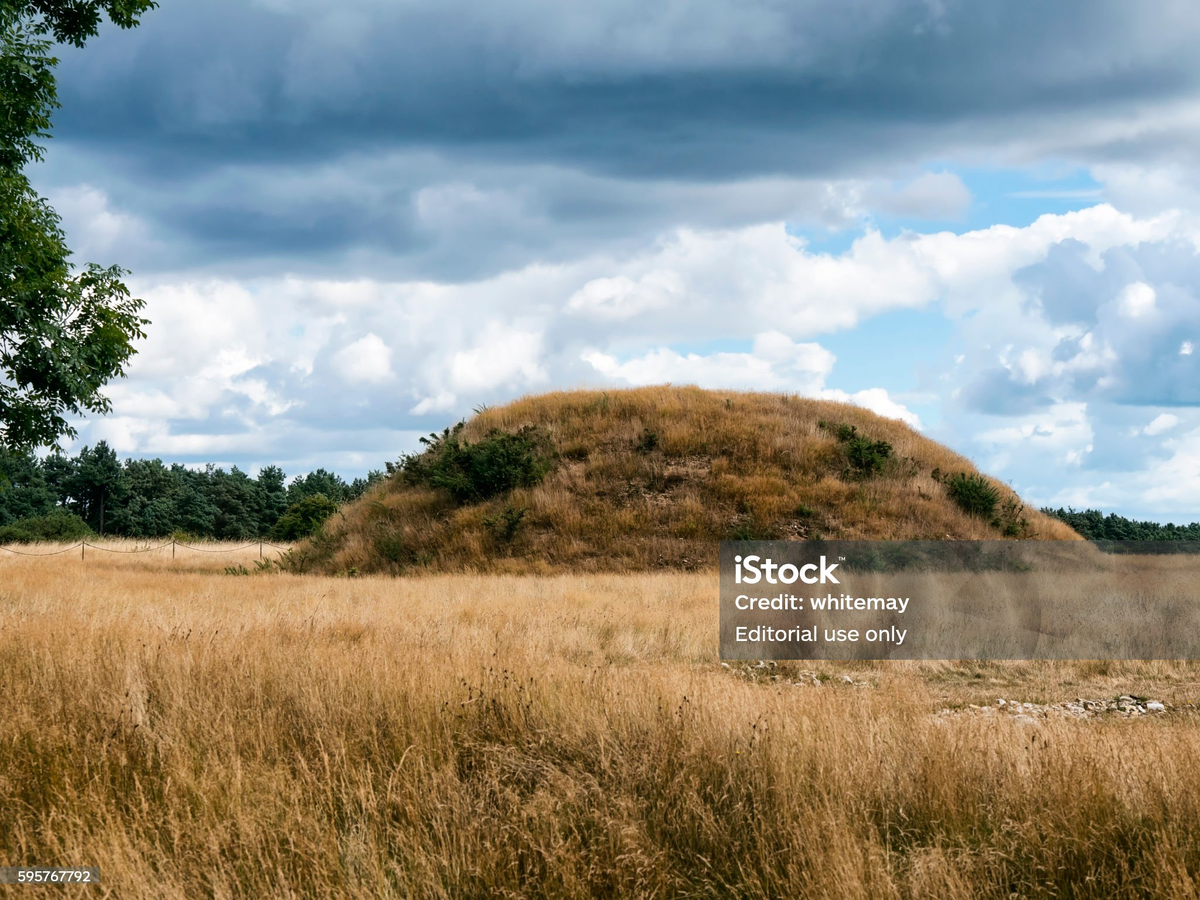 Один из курганов в Саттон-Ху. Все изображения принадлежат их авторам, и приведены в ознакомительных целях.