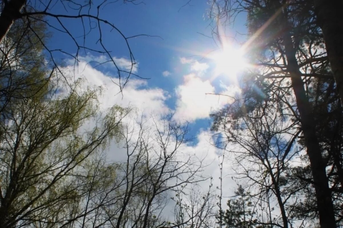    До +17 градусов и без дождей ожидается в Крыму 1 апреля