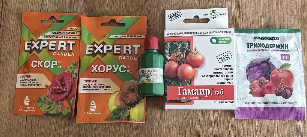 Спор в комментариях, или как защитить абрикосы, персики и другие косточковые от монилиоза без вреда для здоровья