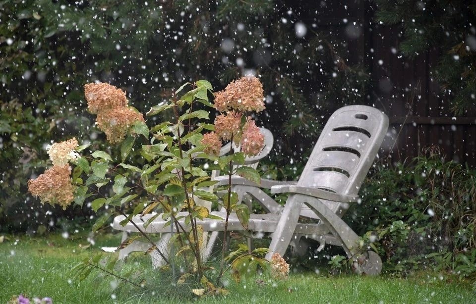    Глава РАН Красников заявил, что климат в России стал резко континентальным Владимир ВЕЛЕНГУРИН