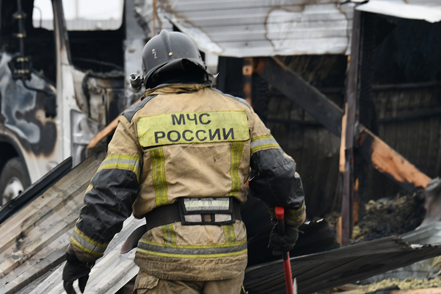    © Евгений Епанчинцев/РИАНовости