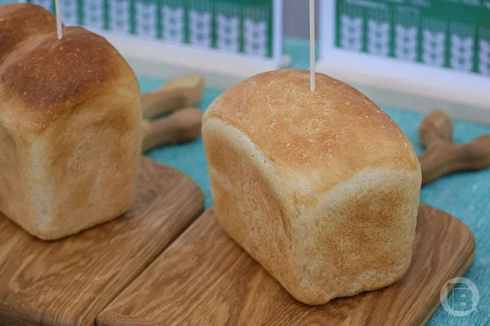    Фото: Дмитрий Рогулин / "Городские вести"