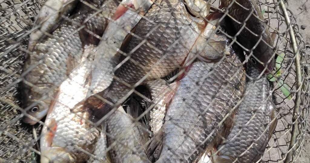 На территории Миллеровского района стартует операция «Путина-2026»