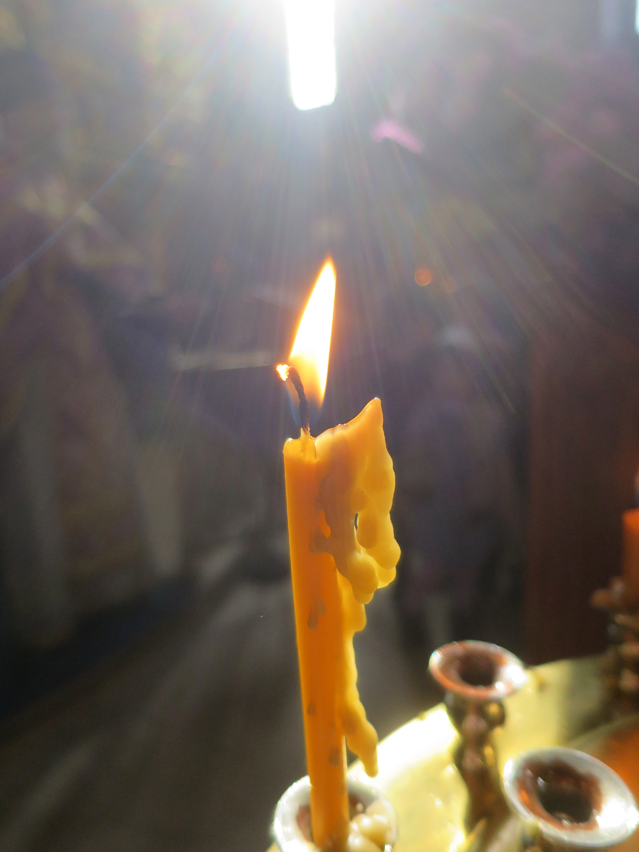 фото Елены Фетисовой