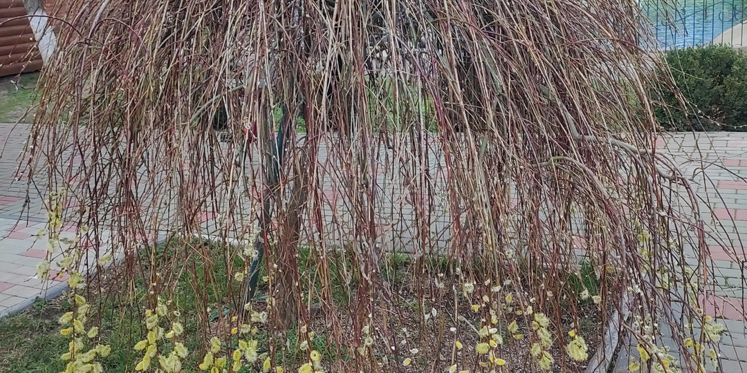 Дальше нас ждёт очередное испытание. Но есть красота, которая спасает жизнь. Держитесь за Источник