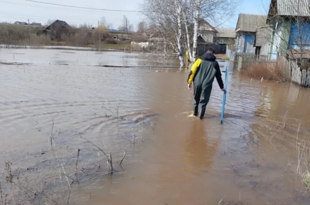    В Удмуртии из-за паводка подтопило несколько домов