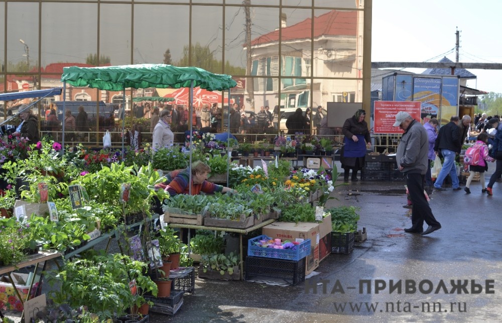    Ярмарки выходного дня "Весна-2026" стартуют в Чувашии