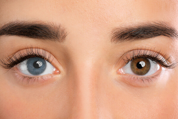 New Africa/Shutterstock/FOTODOM   📷