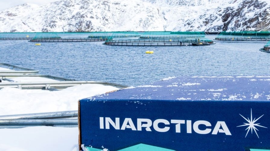 Инарктика отчет за 2025 гож