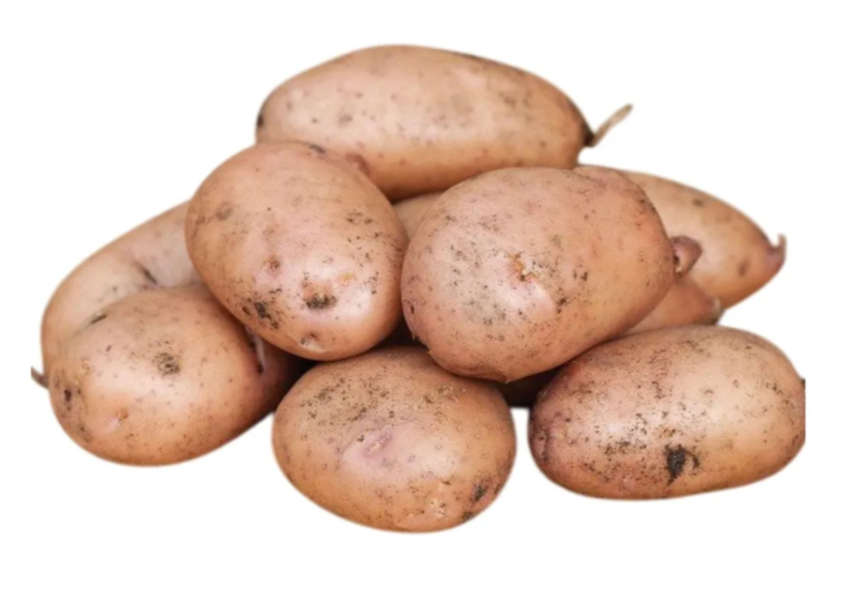 Жуковский ранний