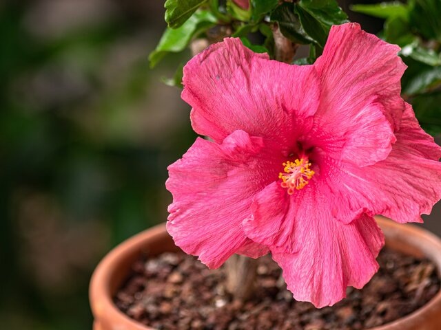    Фото: 123RF.com/martinleber