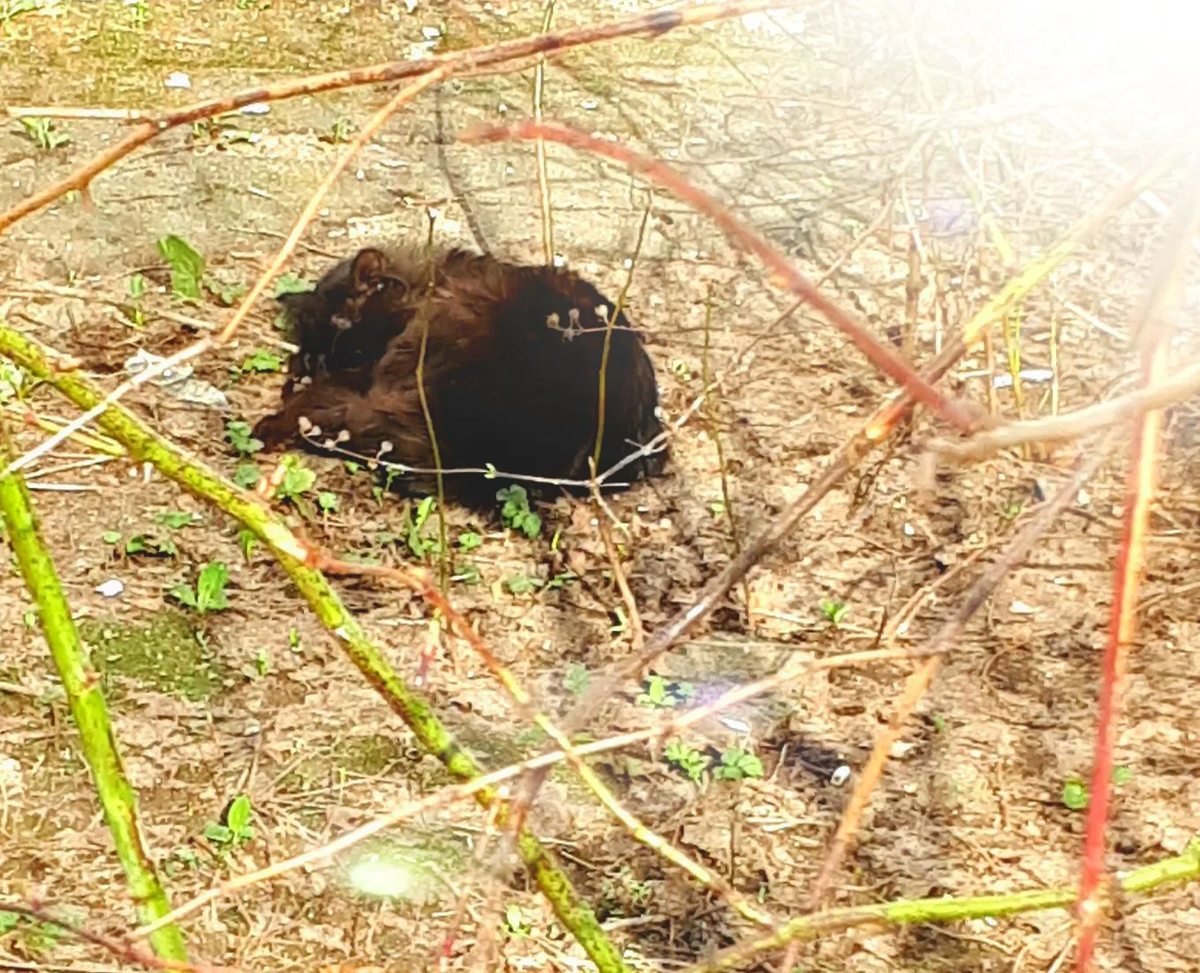 Фото автора статьи 01.04.2026г.