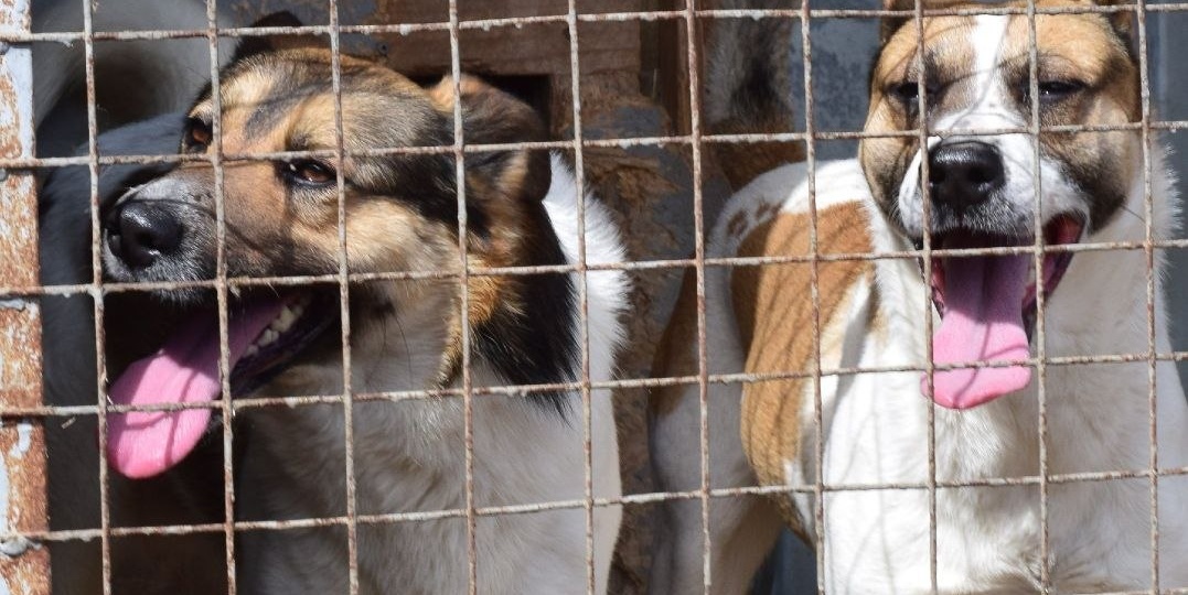 ЕДА В ПРИЮТ