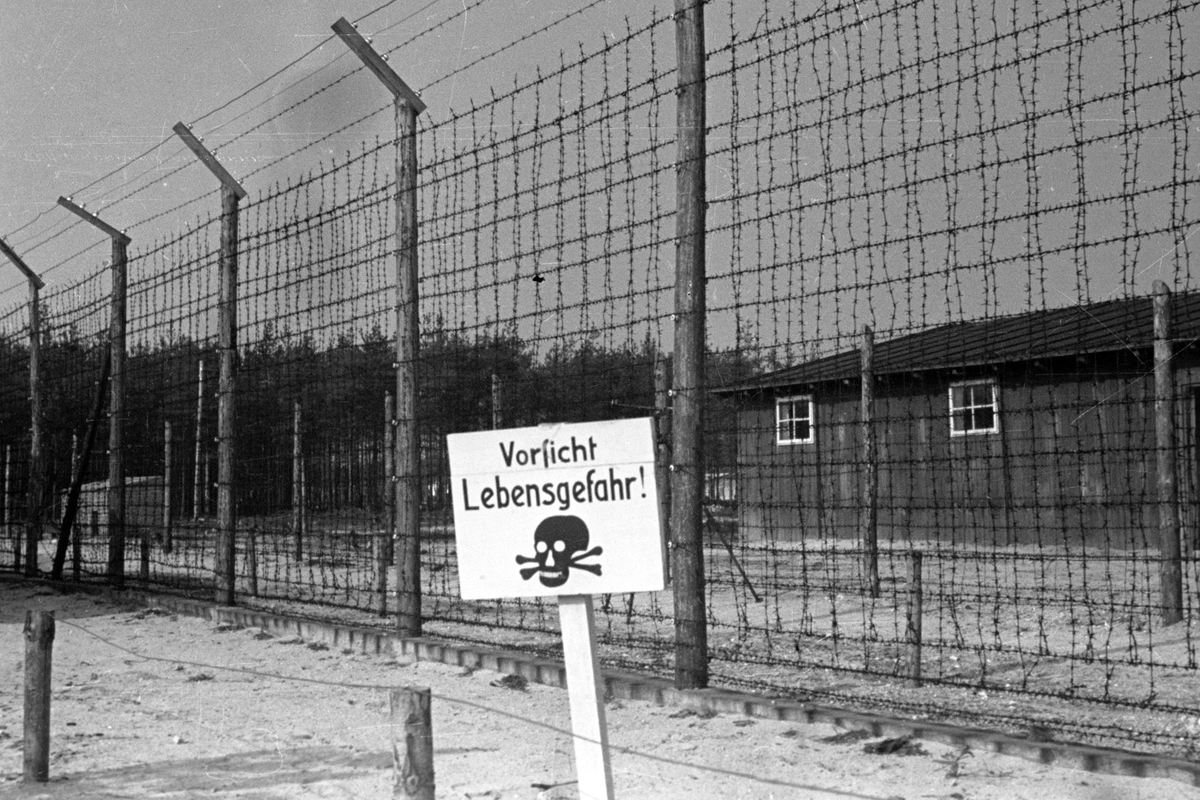 Фото из свободных источников.