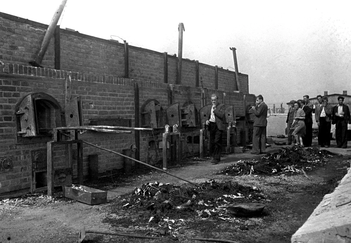 Фото из свободных источников.