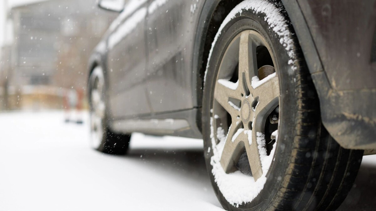    Фото: Юлия Чудинова/«Ямал-Медиа»