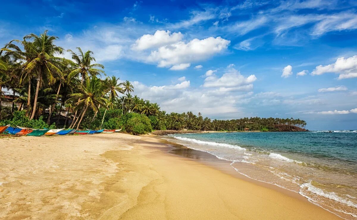    Российский турпоток на Шри-Ланку падает из-за ближневосточного кризиса