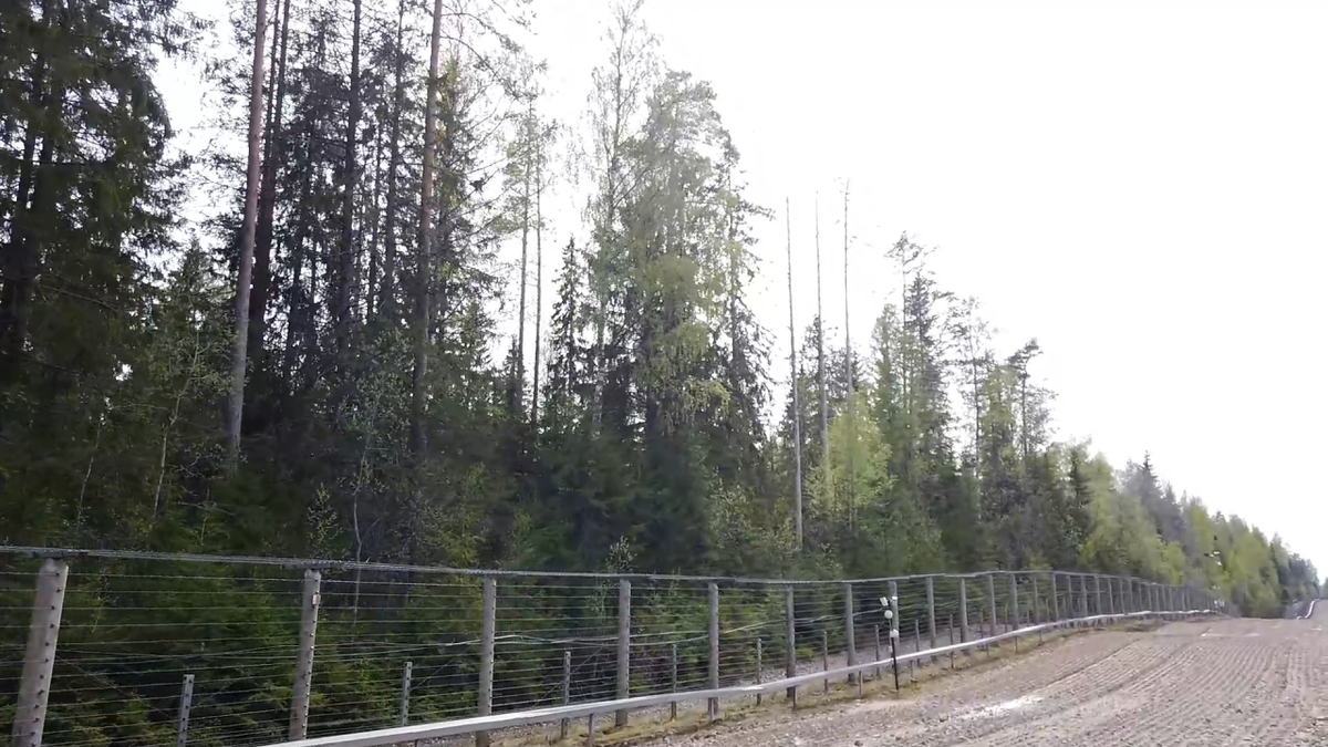    Граница Карелия - Финляндия. Фото: "Республика" / Марина Бедорфас