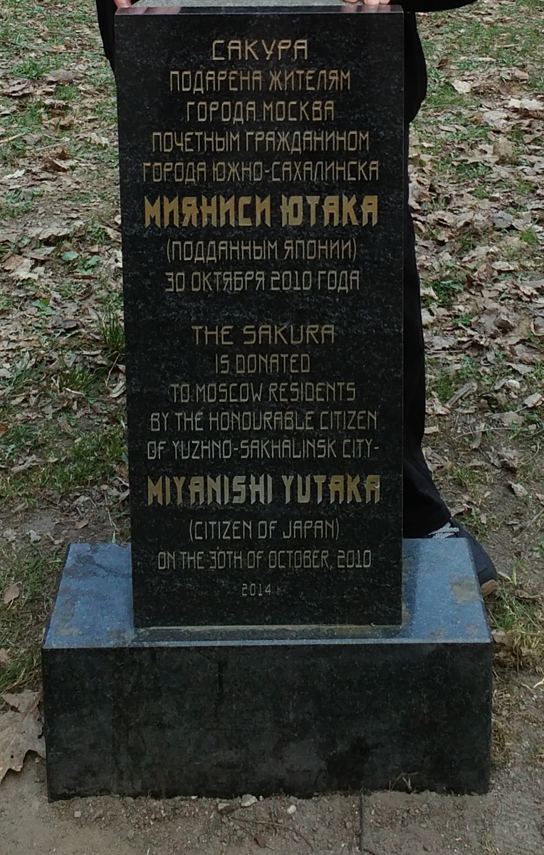 Из личного архива - памятный знак в Роще сакуры, Бирюлевский дендропарк, Москва