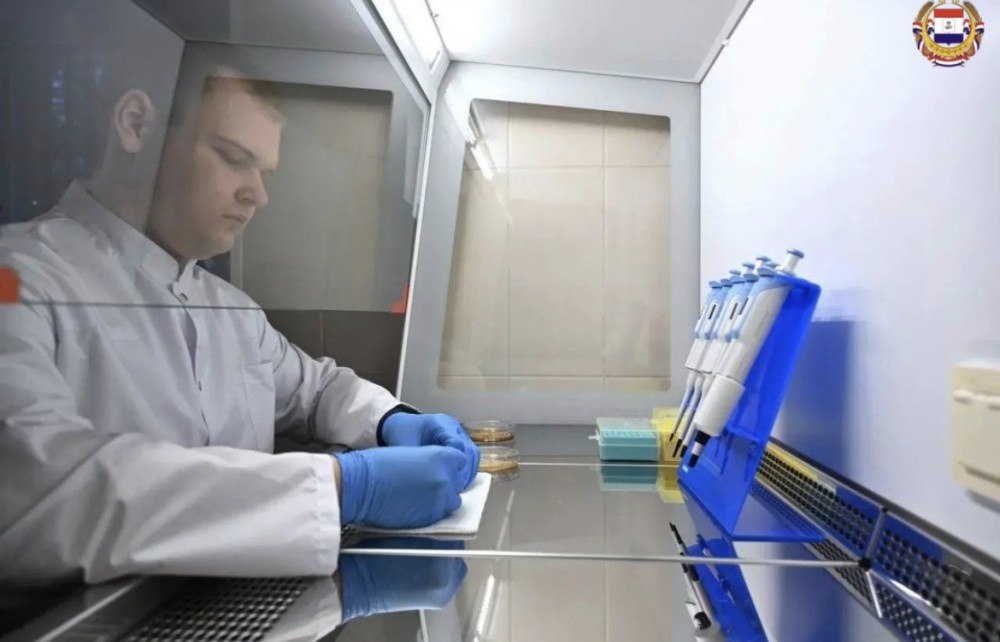    Метод лечения грибка с помощью борщевика Сосновского предложили в Мордовии