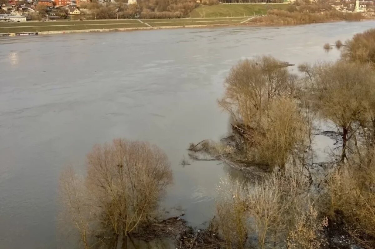    Три СНТ в Обнинске подтопило из-за подъема воды в Протве