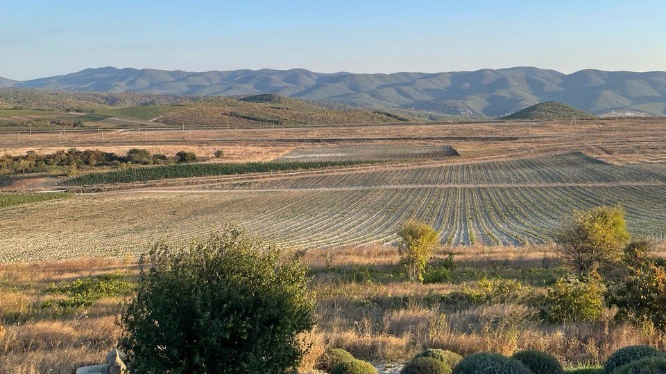    Фото: «Деловая газета.Юг»