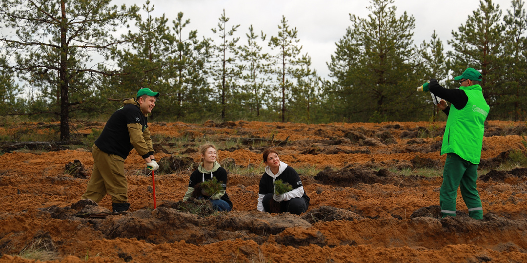 Исчезающие экосистемы. Утрата лугов и водно-болотных угодий происходит с большей стремительностью, чем сокращение лесных территорий.