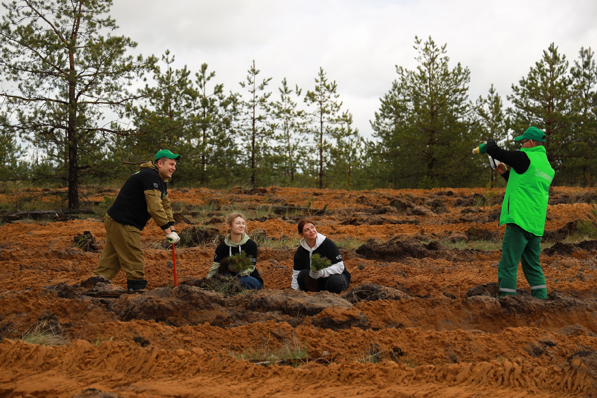 Фото: РусКлиматФонд