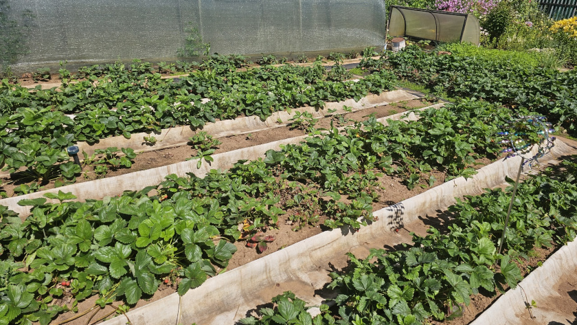    Архив редакции