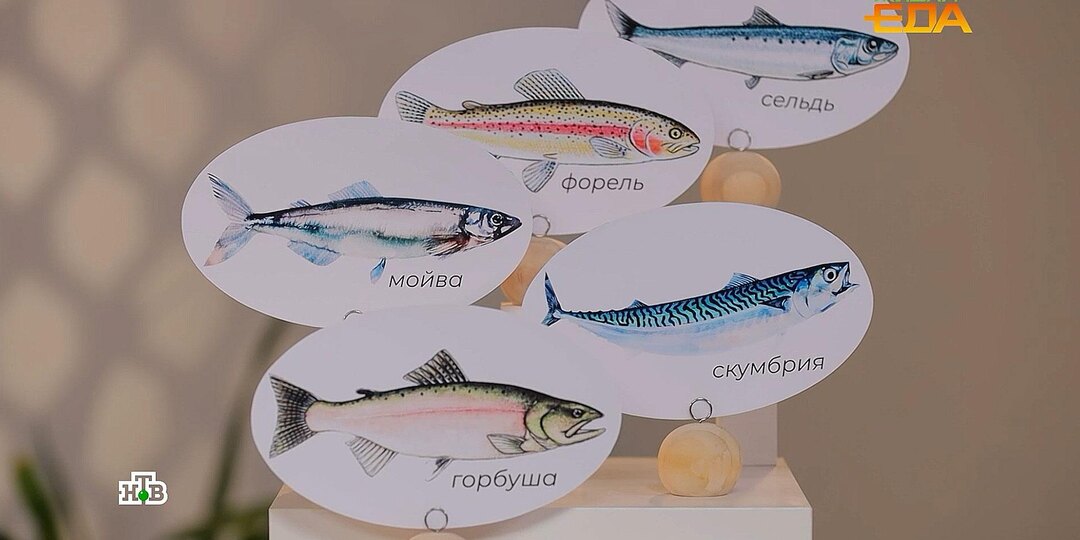 Топ-5 самой полезной морской рыбы