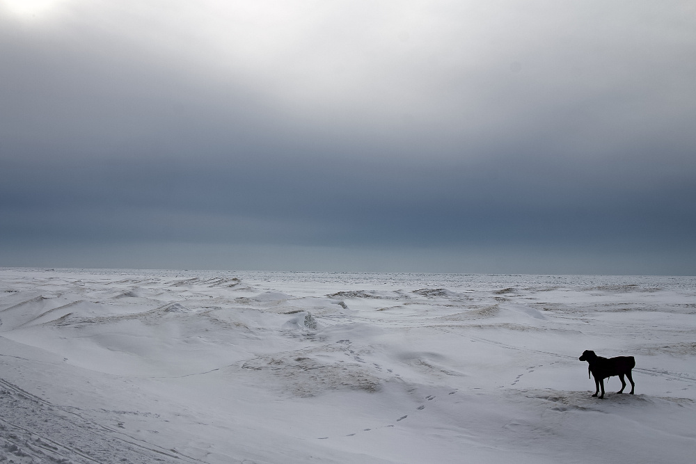    ru.freepik.com / @wirestock