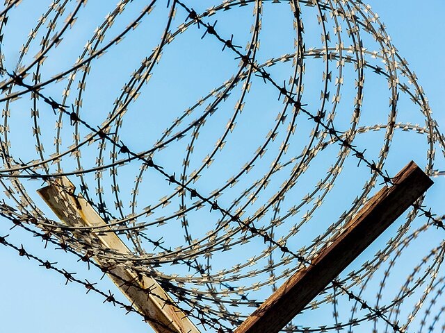    Фото: 123RF.com/rakop