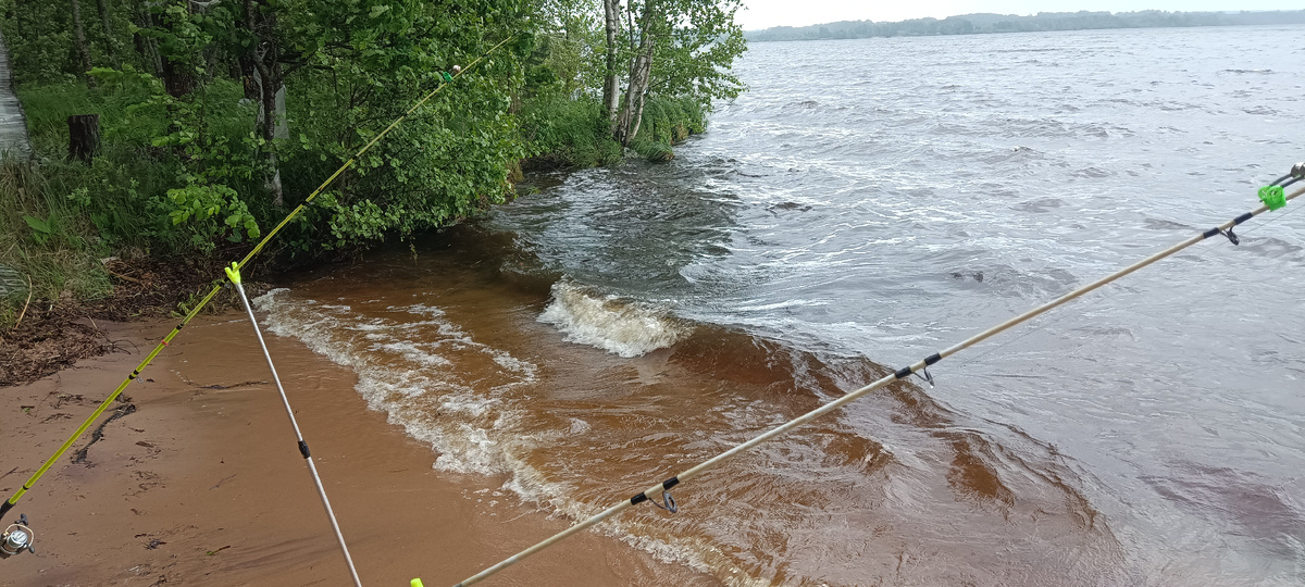 В ожидании леща.