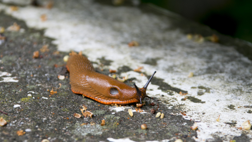    Изображение от wirestock на Freepik